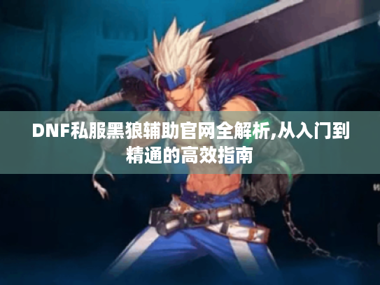 DNF私服黑狼辅助官网全解析,从入门到精通的高效指南 DNF私服黑狼辅助官网全解析,从入门到精通的高效指南