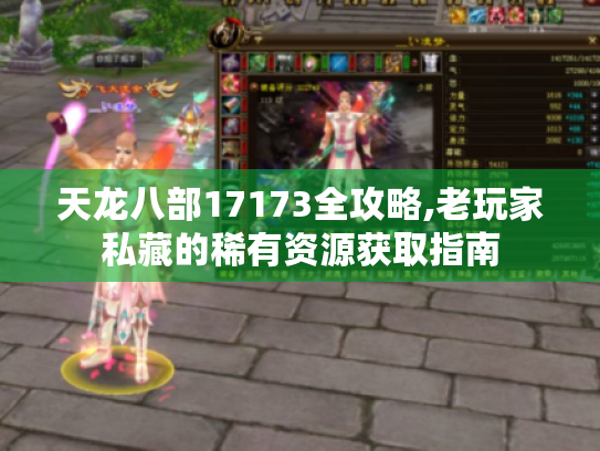 天龙八部17173全攻略,老玩家私藏的稀有资源获取指南 天龙八部17173全攻略,老玩家私藏的稀有资源获取指南