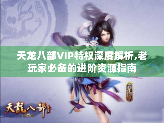 天龙八部VIP特权深度解析,老玩家必备的进阶资源指南