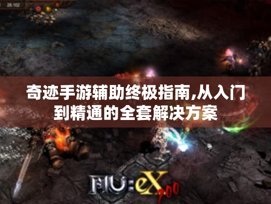 奇迹手游辅助终极指南,从入门到精通的全套解决方案 奇迹手游辅助终极指南,从入门到精通的全套解决方案