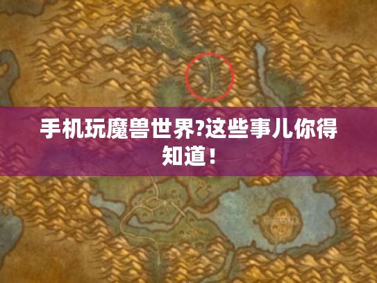 手机玩魔兽世界?这些事儿你得知道! 手机玩魔兽世界?这些事儿你得知道!