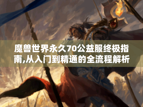 魔兽世界永久70公益服终极指南,从入门到精通的全流程解析 魔兽世界永久70公益服终极指南,从入门到精通的全流程解析