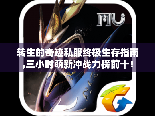 转生的奇迹私服终极生存指南,三小时萌新冲战力榜前十！