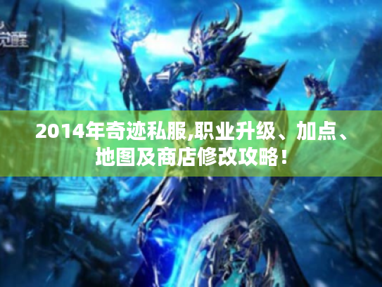 2014年奇迹私服,职业升级、加点、地图及商店修改攻略! 2014年奇迹私服,职业升级、加点、地图及商店修改攻略!