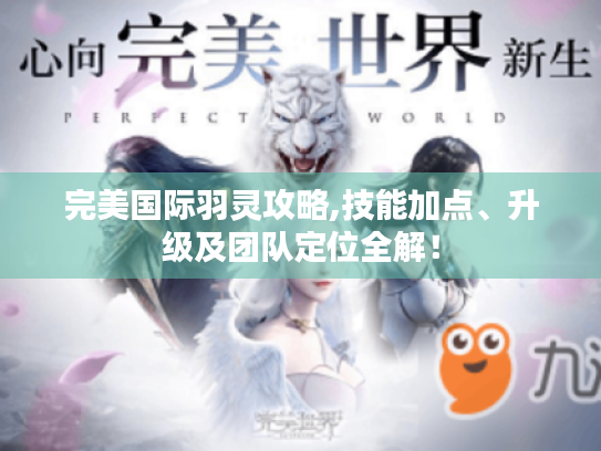 完美国际羽灵攻略,技能加点、升级及团队定位全解! 完美国际羽灵攻略,技能加点、升级及团队定位全解!