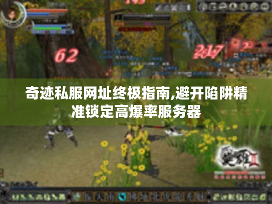 奇迹私服网址终极指南,避开陷阱精准锁定高爆率服务器 奇迹私服网址终极指南,避开陷阱精准锁定高爆率服务器