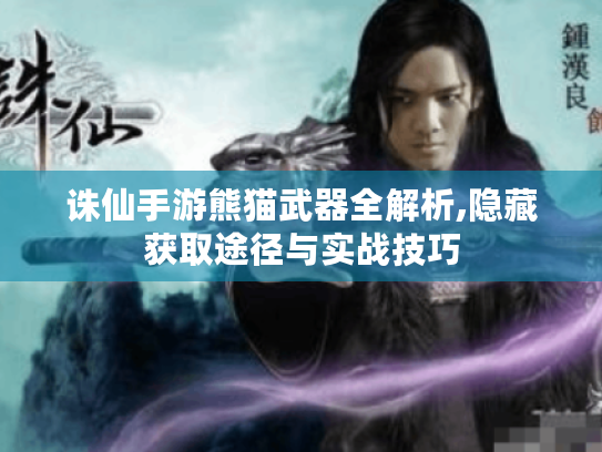 诛仙手游熊猫武器全解析,隐藏获取途径与实战技巧 诛仙手游熊猫武器全解析,隐藏获取途径与实战技巧