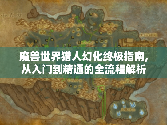 魔兽世界猎人幻化终极指南,从入门到精通的全流程解析 魔兽世界猎人幻化终极指南,从入门到精通的全流程解析