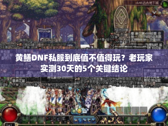 黄鳝DNF私服到底值不值得玩?老玩家实测30天的5个关键结论 黄鳝DNF私服到底值不值得玩?老玩家实测30天的5个关键结论