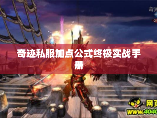奇迹私服加点公式终极实战手册 奇迹私服加点公式终极实战手册