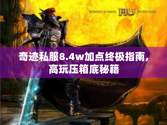 奇迹私服8.4w加点终极指南,高玩压箱底秘籍