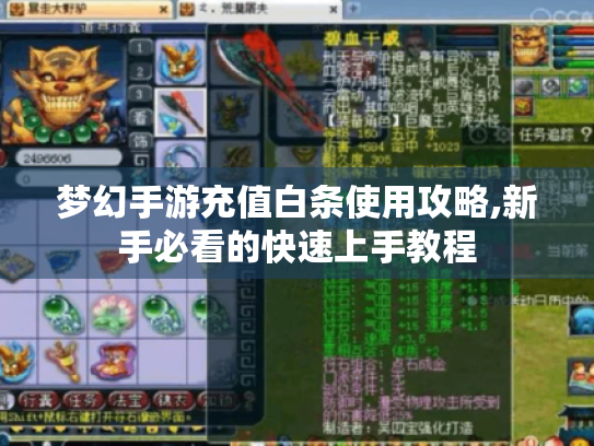 梦幻手游充值白条使用攻略,新手必看的快速上手教程 梦幻手游充值白条使用攻略,新手必看的快速上手教程