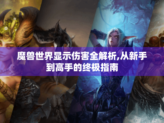 魔兽世界显示伤害全解析,从新手到高手的终极指南 魔兽世界显示伤害全解析,从新手到高手的终极指南