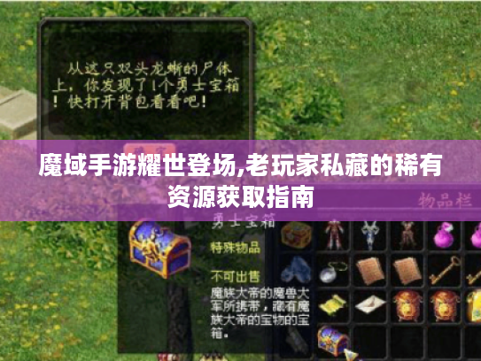 魔域手游耀世登场,老玩家私藏的稀有资源获取指南 魔域手游耀世登场,老玩家私藏的稀有资源获取指南