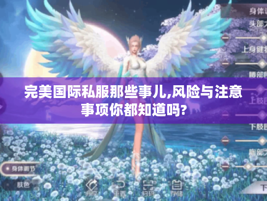 完美国际私服那些事儿,风险与注意事项你都知道吗? 完美国际私服那些事儿,风险与注意事项你都知道吗?