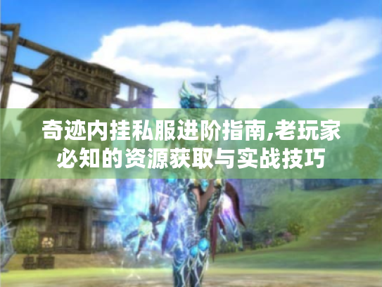 奇迹内挂私服进阶指南,老玩家必知的资源获取与实战技巧 奇迹内挂私服进阶指南,老玩家必知的资源获取与实战技巧
