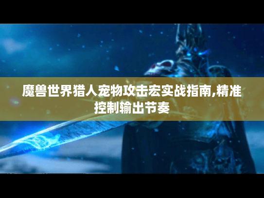 魔兽世界猎人宠物攻击宏实战指南,精准控制输出节奏 魔兽世界猎人宠物攻击宏实战指南,精准控制输出节奏