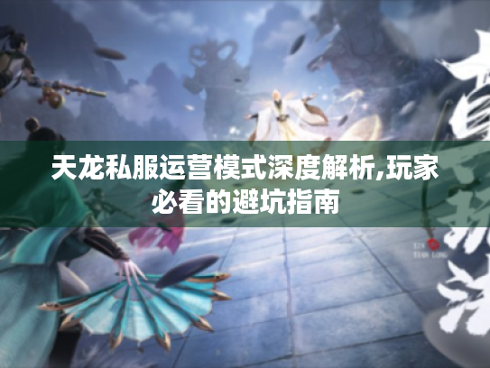 天龙私服运营模式深度解析,玩家必看的避坑指南 天龙私服运营模式深度解析,玩家必看的避坑指南