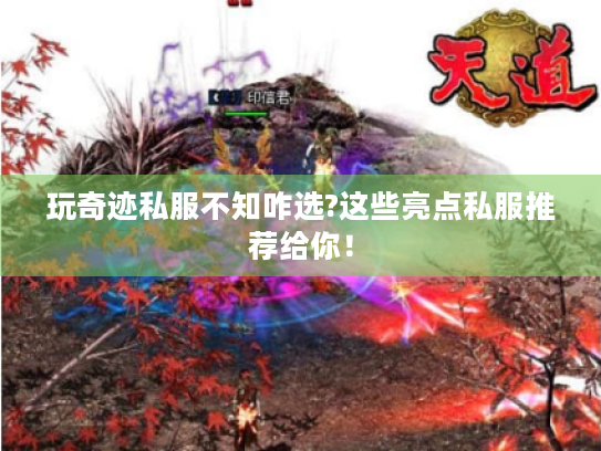 玩奇迹私服不知咋选?这些亮点私服推荐给你! 玩奇迹私服不知咋选?这些亮点私服推荐给你!