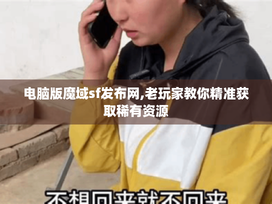 电脑版魔域sf发布网,老玩家教你精准获取稀有资源