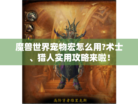 魔兽世界宠物宏怎么用?术士、猎人实用攻略来啦! 魔兽世界宠物宏怎么用?术士、猎人实用攻略来啦!