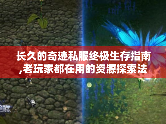 长久的奇迹私服终极生存指南,老玩家都在用的资源探索法则