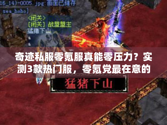 奇迹私服零氪服真能零压力?实测3款热门服,零氪党最在意的5个问题全说透 奇迹私服零氪服真能零压力?实测3款热门服,零氪党最在意的5个问题全说透