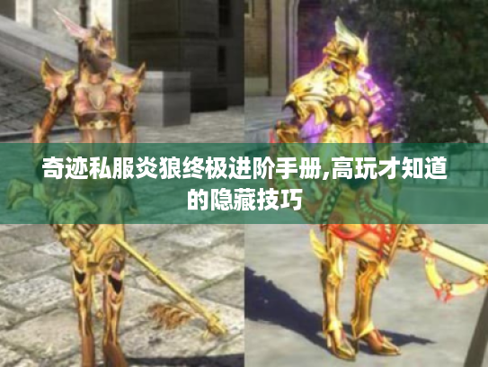 奇迹私服炎狼终极进阶手册,高玩才知道的隐藏技巧 奇迹私服炎狼终极进阶手册,高玩才知道的隐藏技巧
