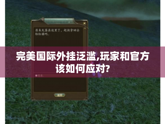 完美国际外挂泛滥,玩家和官方该如何应对? 完美国际外挂泛滥,玩家和官方该如何应对?
