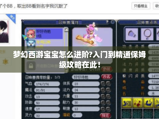 梦幻西游宝宝怎么进阶?入门到精通保姆级攻略在此! 梦幻西游宝宝怎么进阶?入门到精通保姆级攻略在此!