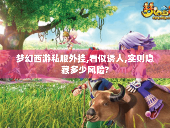 梦幻西游私服外挂,看似诱人,实则隐藏多少风险? 梦幻西游私服外挂,看似诱人,实则隐藏多少风险?