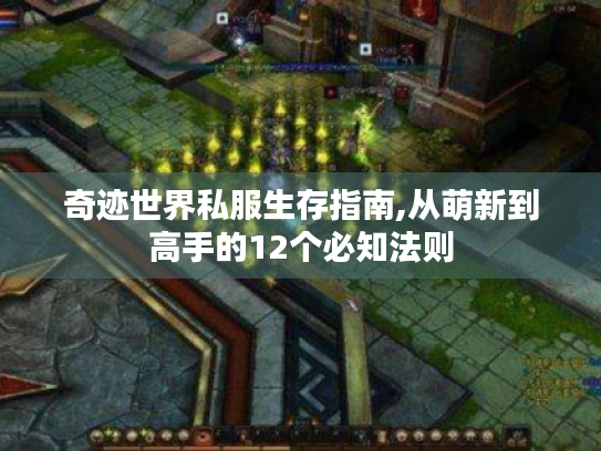 奇迹世界私服生存指南,从萌新到高手的12个必知法则 奇迹世界私服生存指南,从萌新到高手的12个必知法则