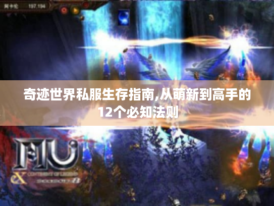 奇迹世界私服生存指南,从萌新到高手的12个必知法则 奇迹世界私服生存指南,从萌新到高手的12个必知法则