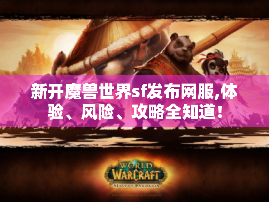 新开魔兽世界sf发布网服,体验、风险、攻略全知道！