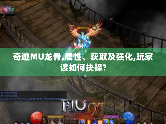 奇迹MU龙骨,属性、获取及强化,玩家该如何抉择? 奇迹MU龙骨,属性、获取及强化,玩家该如何抉择?