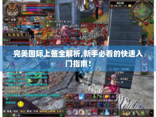 完美国际上签全解析,新手必看的快速入门指南! 完美国际上签全解析,新手必看的快速入门指南!