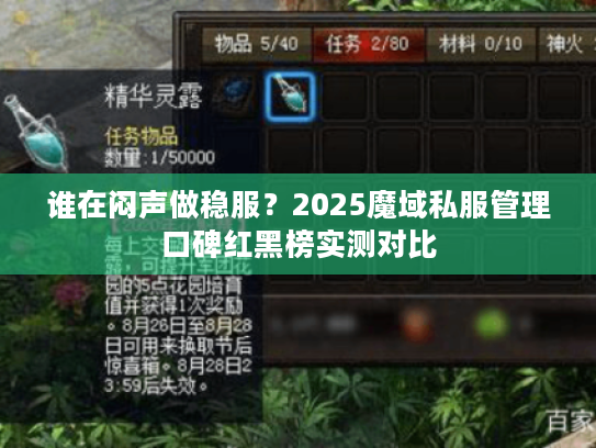 谁在闷声做稳服？2025魔域私服管理口碑红黑榜实测对比