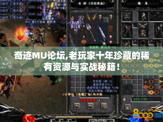 奇迹MU论坛,老玩家十年珍藏的稀有资源与实战秘籍! 奇迹MU论坛,老玩家十年珍藏的稀有资源与实战秘籍!