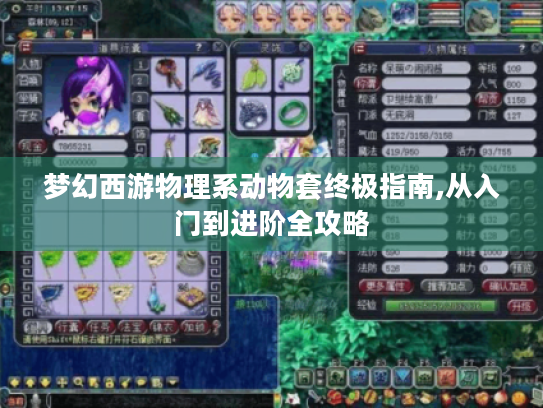 梦幻西游物理系动物套终极指南,从入门到进阶全攻略 梦幻西游物理系动物套终极指南,从入门到进阶全攻略