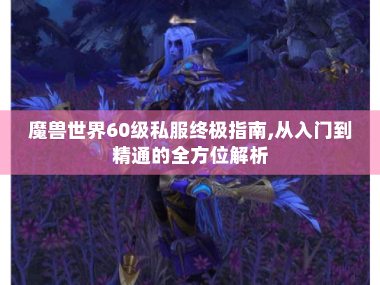 魔兽世界60级私服终极指南,从入门到精通的全方位解析