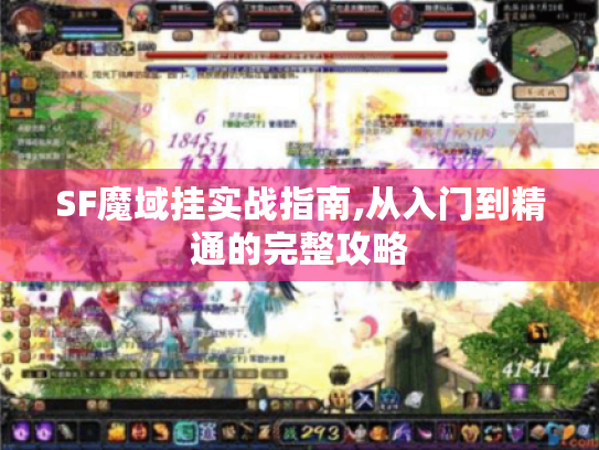 SF魔域挂实战指南,从入门到精通的完整攻略 SF魔域挂实战指南,从入门到精通的完整攻略