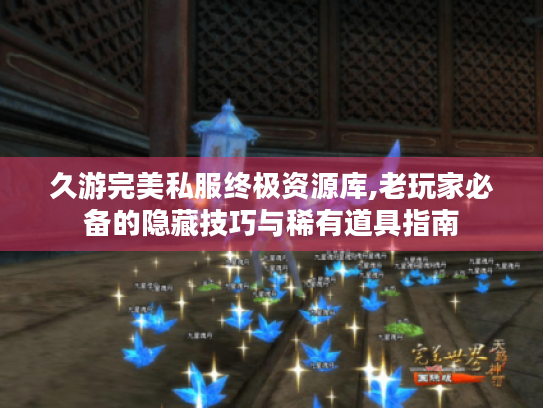 久游完美私服终极资源库,老玩家必备的隐藏技巧与稀有道具指南