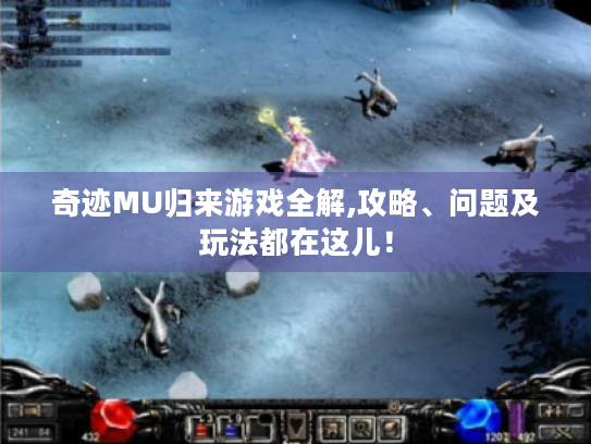 奇迹MU归来游戏全解,攻略、问题及玩法都在这儿！