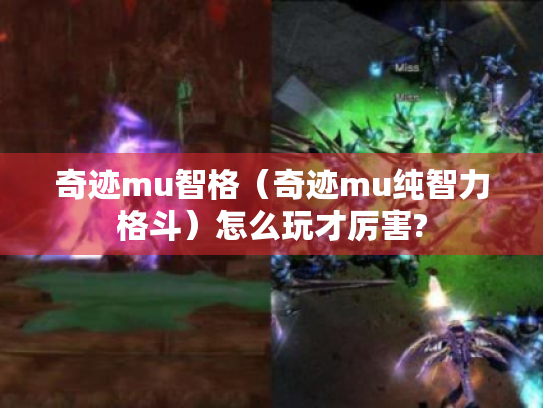 奇迹mu智格（奇迹mu纯智力格斗）怎么玩才厉害?