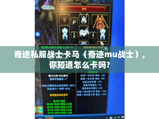 奇迹私服战士卡马（奇迹mu战士）,你知道怎么卡吗?