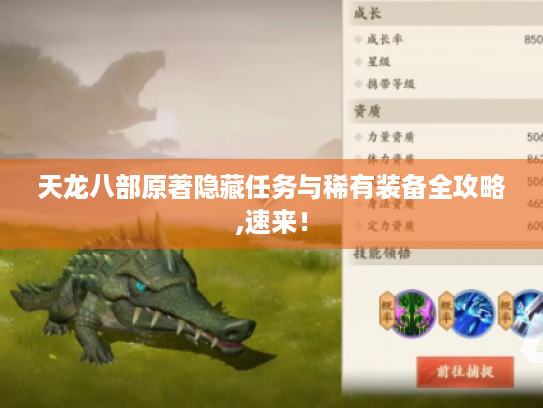 天龙八部原著隐藏任务与稀有装备全攻略,速来！