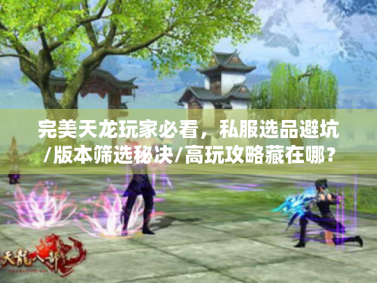 完美天龙玩家必看，私服选品避坑/版本筛选秘决/高玩攻略藏在哪？
