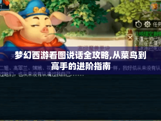 梦幻西游看图说话全攻略,从菜鸟到高手的进阶指南 梦幻西游看图说话全攻略,从菜鸟到高手的进阶指南