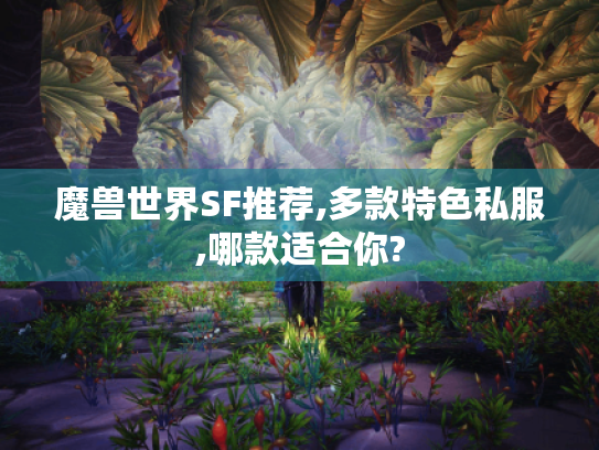 魔兽世界SF推荐,多款特色私服,哪款适合你?