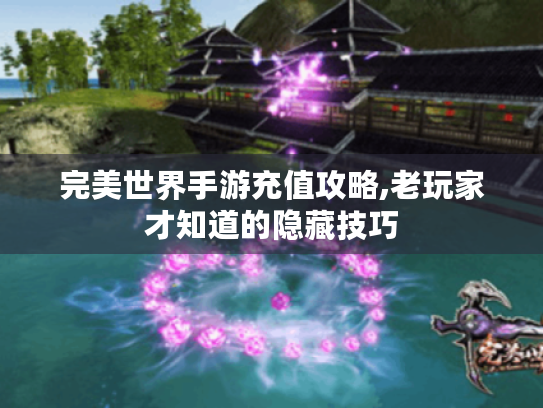 完美世界手游充值攻略,老玩家才知道的隐藏技巧 完美世界手游充值攻略,老玩家才知道的隐藏技巧